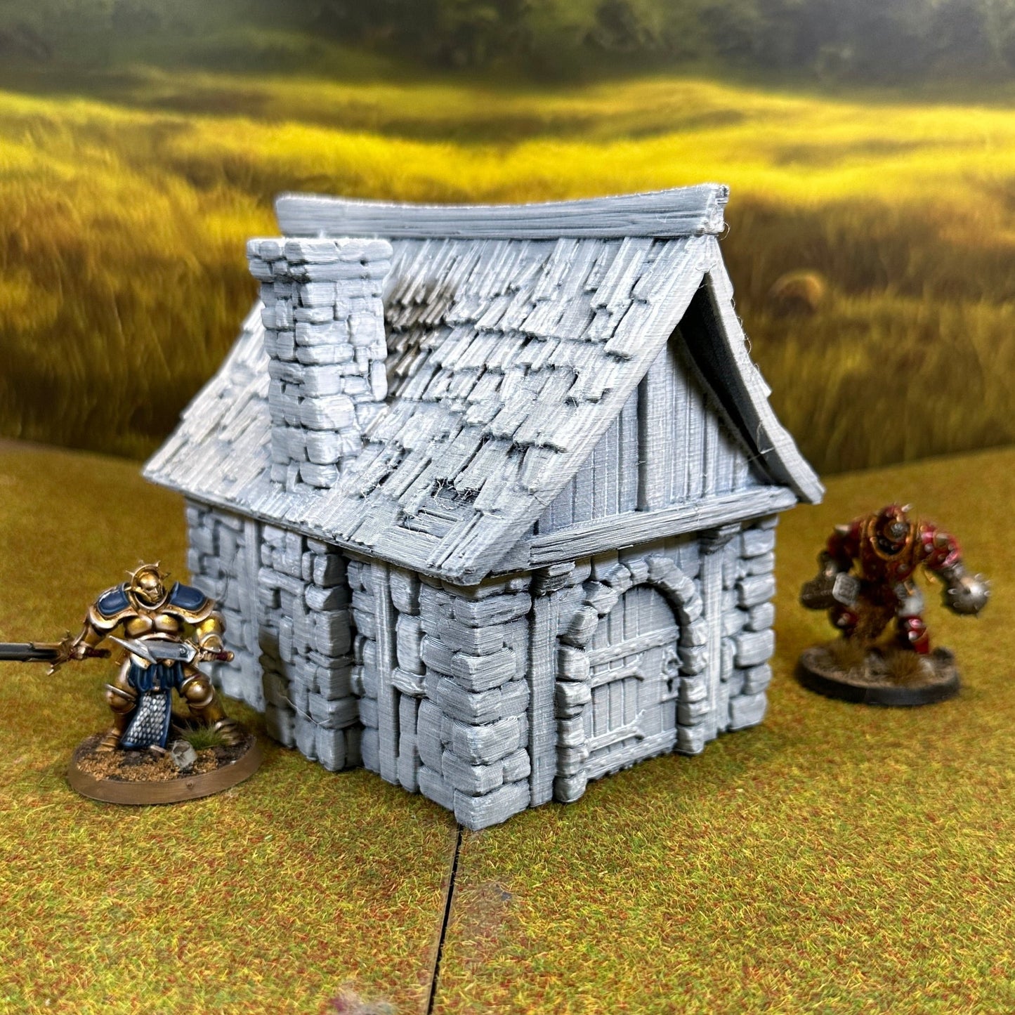 Small Cabin 28mm